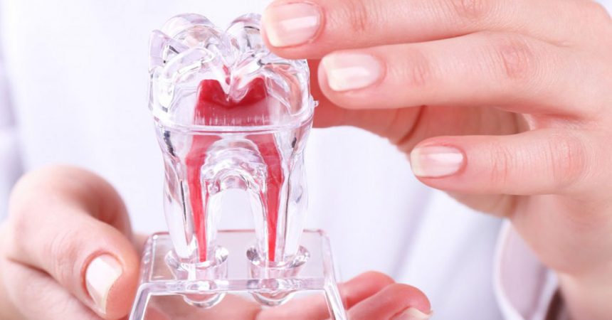 Endodonzia dentale