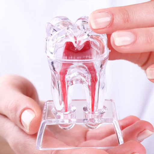 Endodonzia dentale